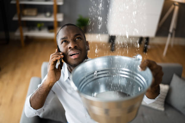 Best Ceiling water damage repair  in Eunice, NM