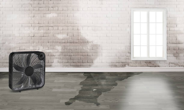 Best 24-hour water damage restoration  in Eunice, NM