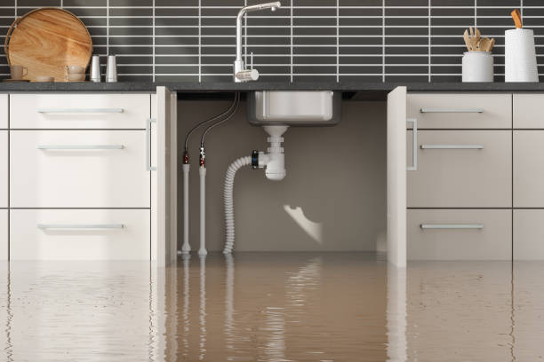 Best Emergency water damage restoration  in Eunice, NM